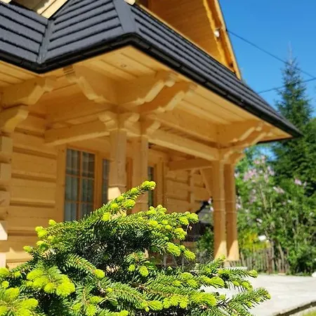 Biały Puch Domek alpejski Zakopane